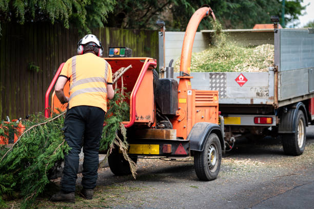 Best Weed Control  in Bethalto, IL